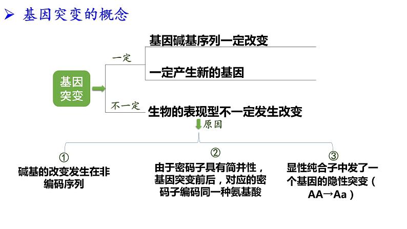 2021-2022学年高一下学期生物人教版必修二 5.1 基因突变和基因重组课件（40张PPT)第6页