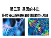 2021-2022学年高一下学期生物人教版必修二 3.4 基因通常是有遗传效应的DNA片段课件（25张PPT)