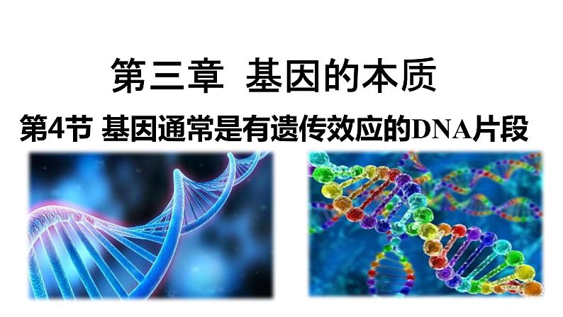 2021-2022学年高一下学期生物人教版必修二 3.4 基因通常是有遗传效应的DNA片段课件（25张PPT)01