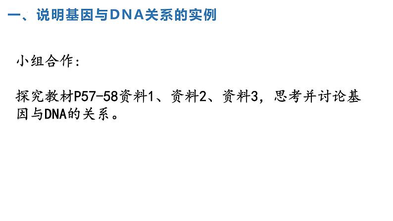 2021-2022学年高一下学期生物人教版必修二 3.4 基因通常是有遗传效应的DNA片段课件（25张PPT)04