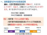 2021-2022学年高一下学期生物人教版必修二 3.4 基因通常是有遗传效应的DNA片段课件（25张PPT)