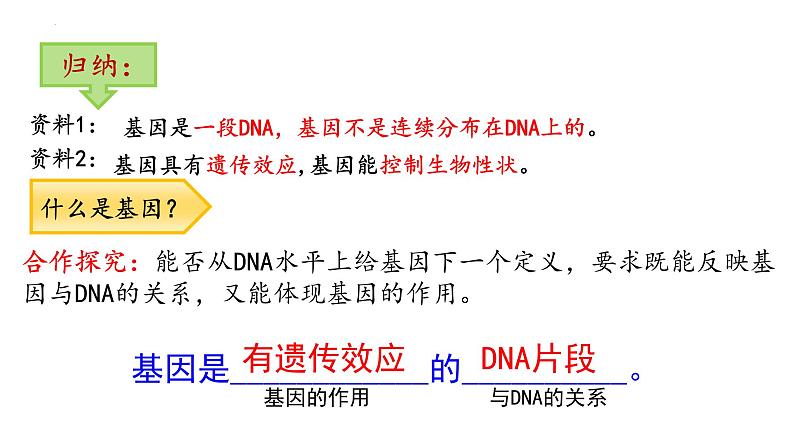 2021-2022学年高一下学期生物人教版必修二 3.4 基因通常是有遗传效应的DNA片段课件（25张PPT)07