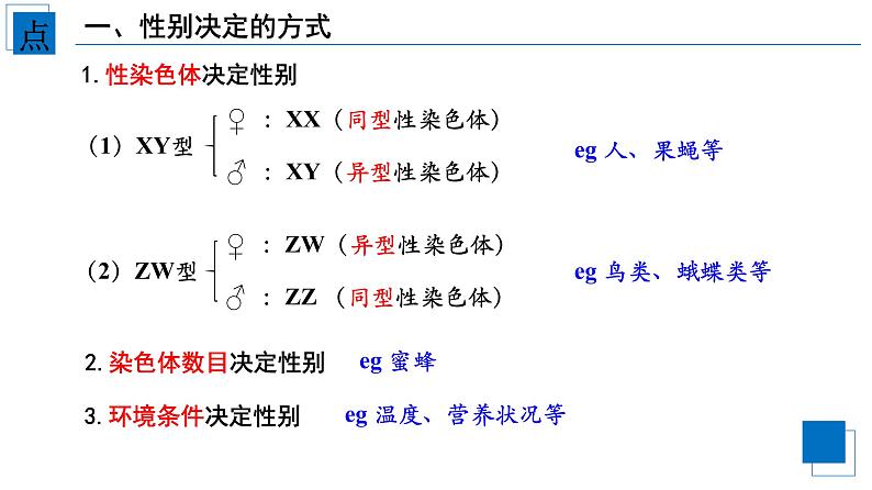 2021-2022学年高一下学期生物人教版必修二 2.3 伴性遗传课件（25张PPT)第3页