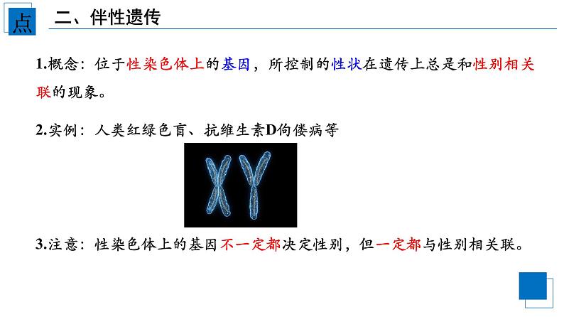 2021-2022学年高一下学期生物人教版必修二 2.3 伴性遗传课件（25张PPT)第4页