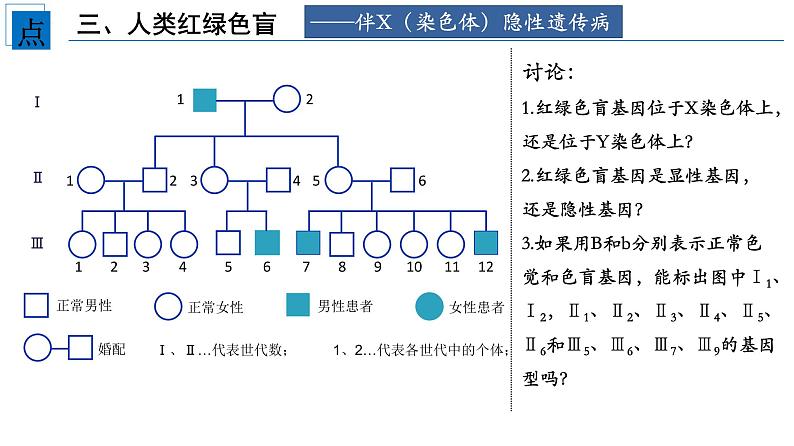 2021-2022学年高一下学期生物人教版必修二 2.3 伴性遗传课件（25张PPT)第6页