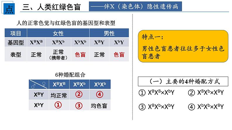 2021-2022学年高一下学期生物人教版必修二 2.3 伴性遗传课件（25张PPT)第7页