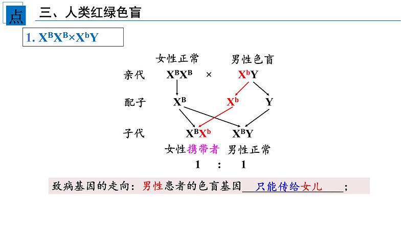 2021-2022学年高一下学期生物人教版必修二 2.3 伴性遗传课件（25张PPT)第8页