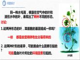 2021-2022学年高一下学期生物人教版必修二 4.2 基因表达与性状的关系课件（41张PPT)