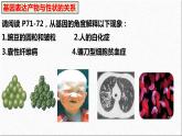 2021-2022学年高一下学期生物人教版必修二 4.2 基因表达与性状的关系课件（41张PPT)