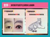 2021-2022学年高一下学期生物人教版必修二 5.1 基因突变和基因重组课件（36张PPT)