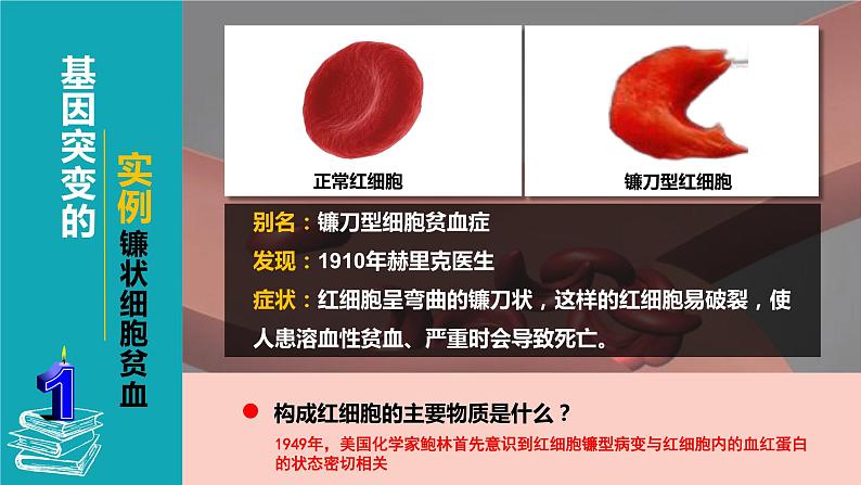 2021-2022学年高一下学期生物人教版必修二 5.1 基因突变和基因重组课件（36张PPT)第6页