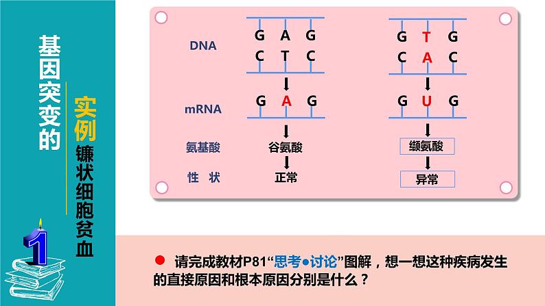 2021-2022学年高一下学期生物人教版必修二 5.1 基因突变和基因重组课件（36张PPT)第8页