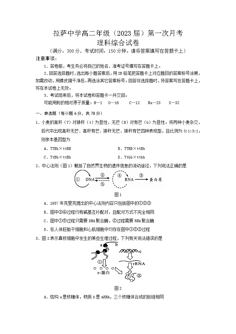2022自治区拉萨中学高二上学期第一次月考理综生物试题含答案01