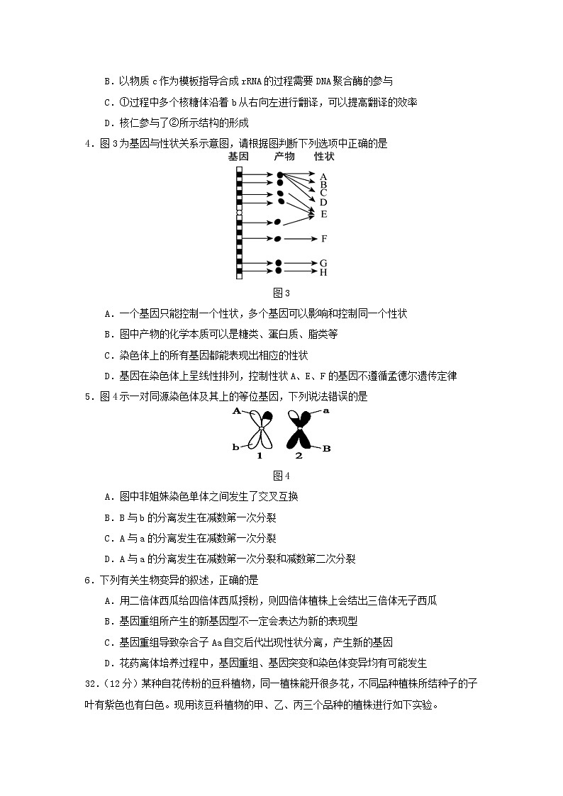 2022自治区拉萨中学高二上学期第一次月考理综生物试题含答案02