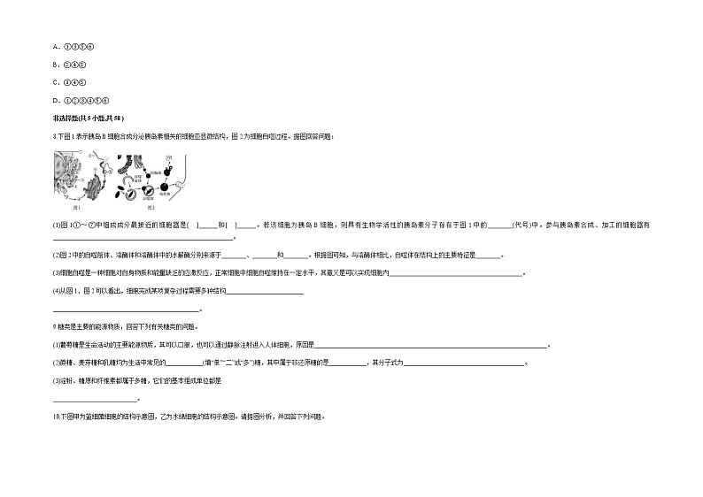 2022维吾尔自治区喀什六中高一上学期期中模拟生物试题（B卷）含答案第3页