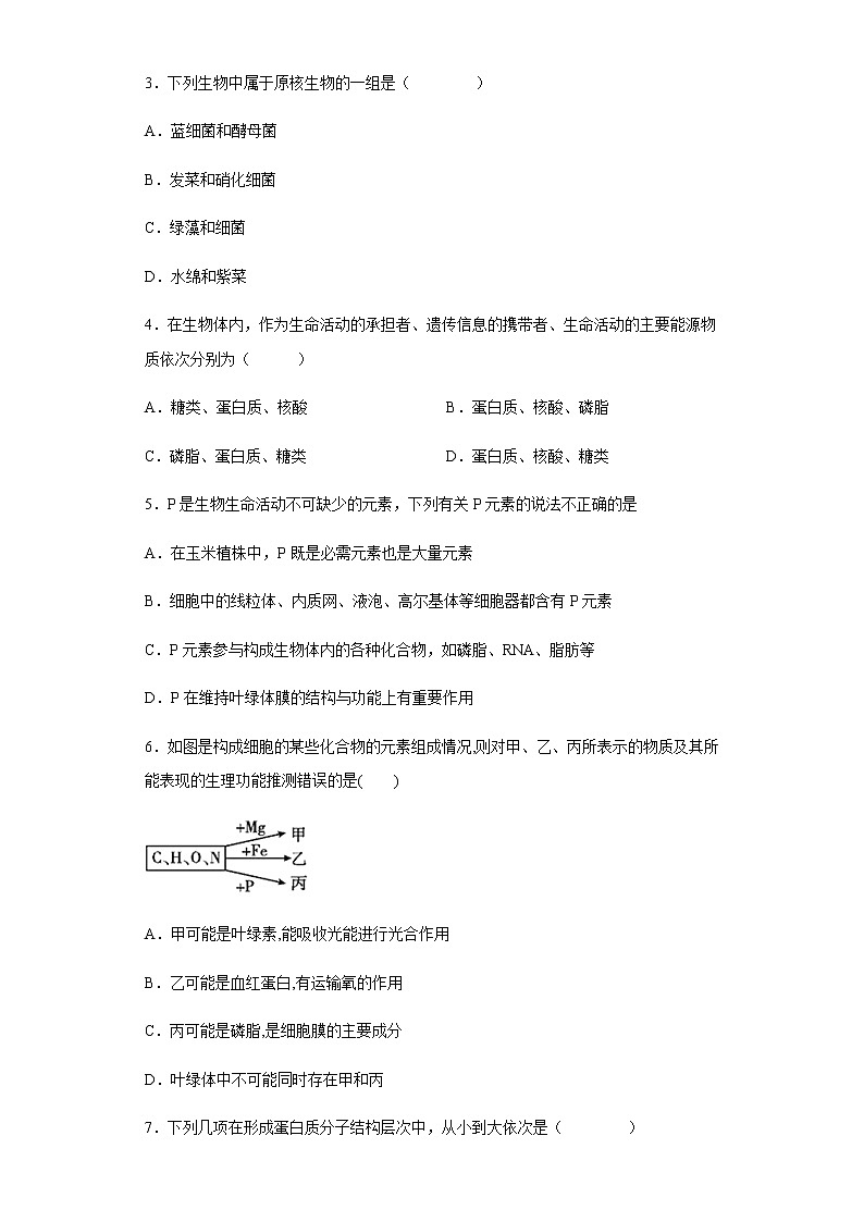 2021-2022学年河北省保定市唐县一中高一上学期期中生物试题含解析02