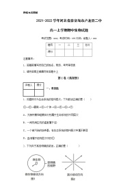 2021-2022学年河北省秦皇岛市卢龙县二中高一上学期期中生物试题含解析