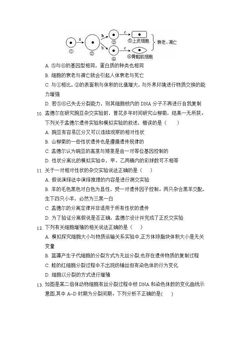 2021-2022学年福建省莆田第一中学高一下学期期中考试生物试卷含答案03
