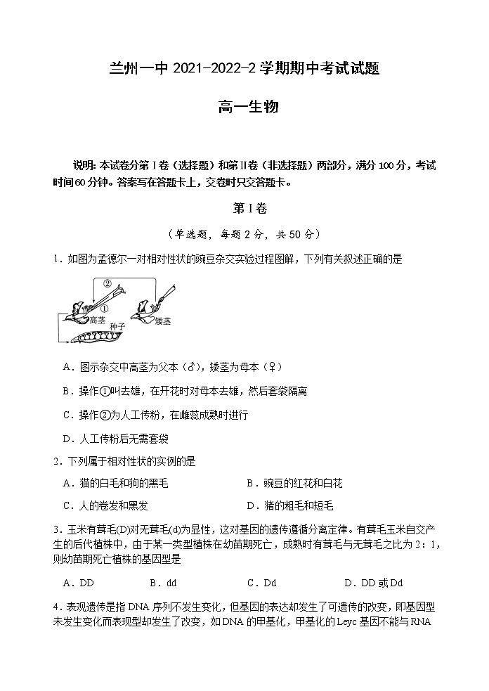 2021-2022学年甘肃省兰州市第一中学高一下学期期中考试生物试题含答案01