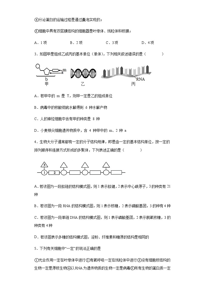 2021-2022学年河北省邢台市一中高一上学期第四次月考生物试题含解析02