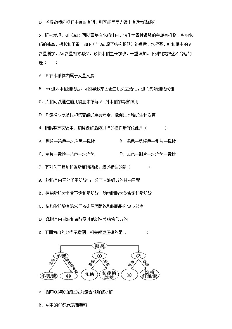 2021-2022学年河北省辛集市一中高一上学期第三次月考生物（理）试题含解析03
