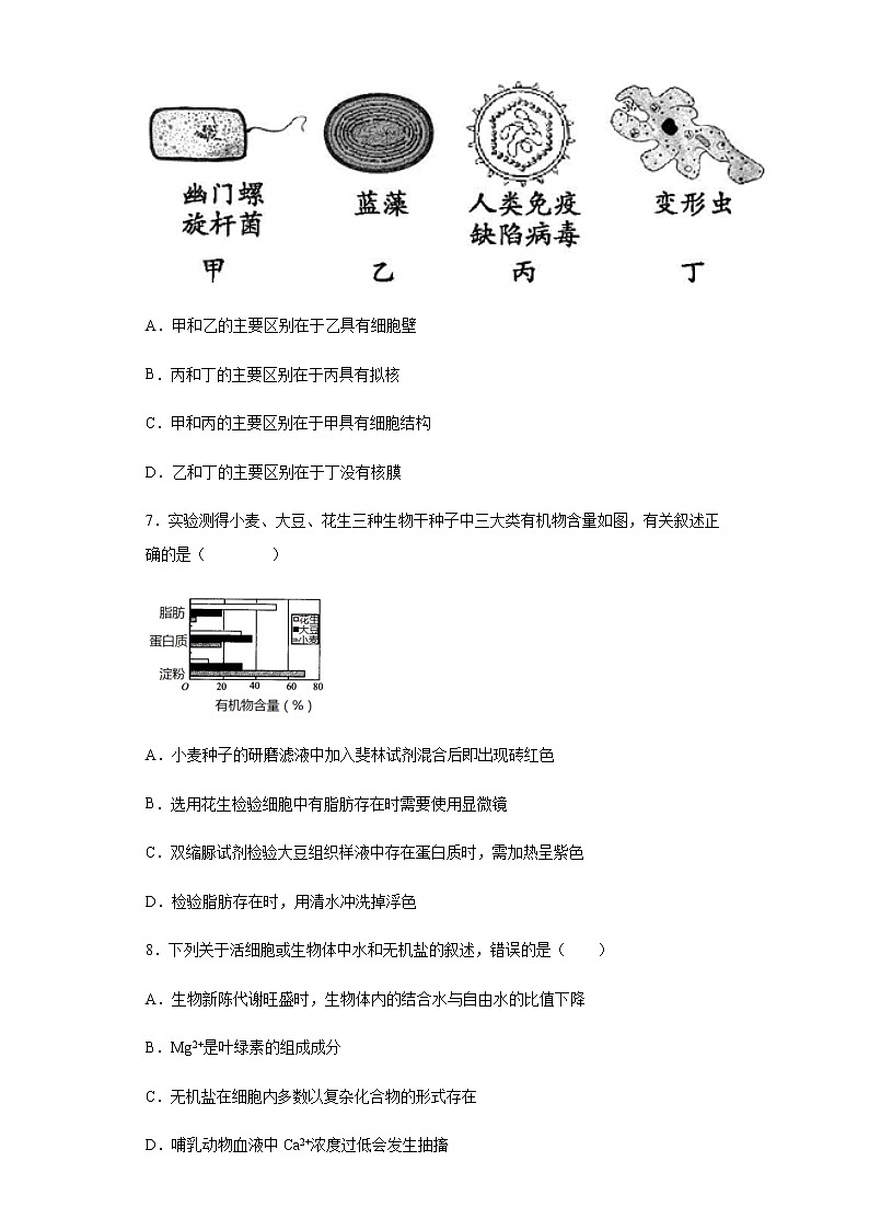 2021-2022学年河北省衡水市武强中学高一上学期第一次月考生物试题含解析03