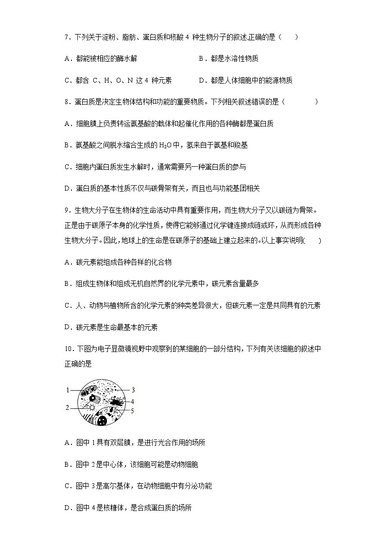 2021-2022学年河北省保定市唐县一中高一12月考试生物试题含解析第3页