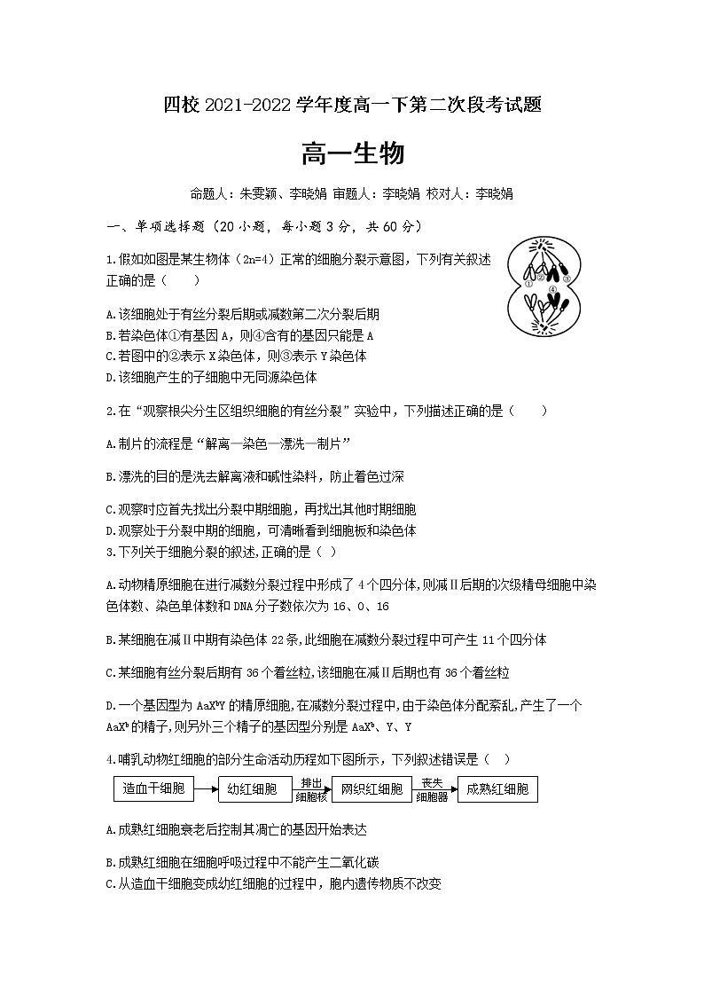 2021-2022学年广东省四校高一下学期（5月）联考生物试题含答案第1页