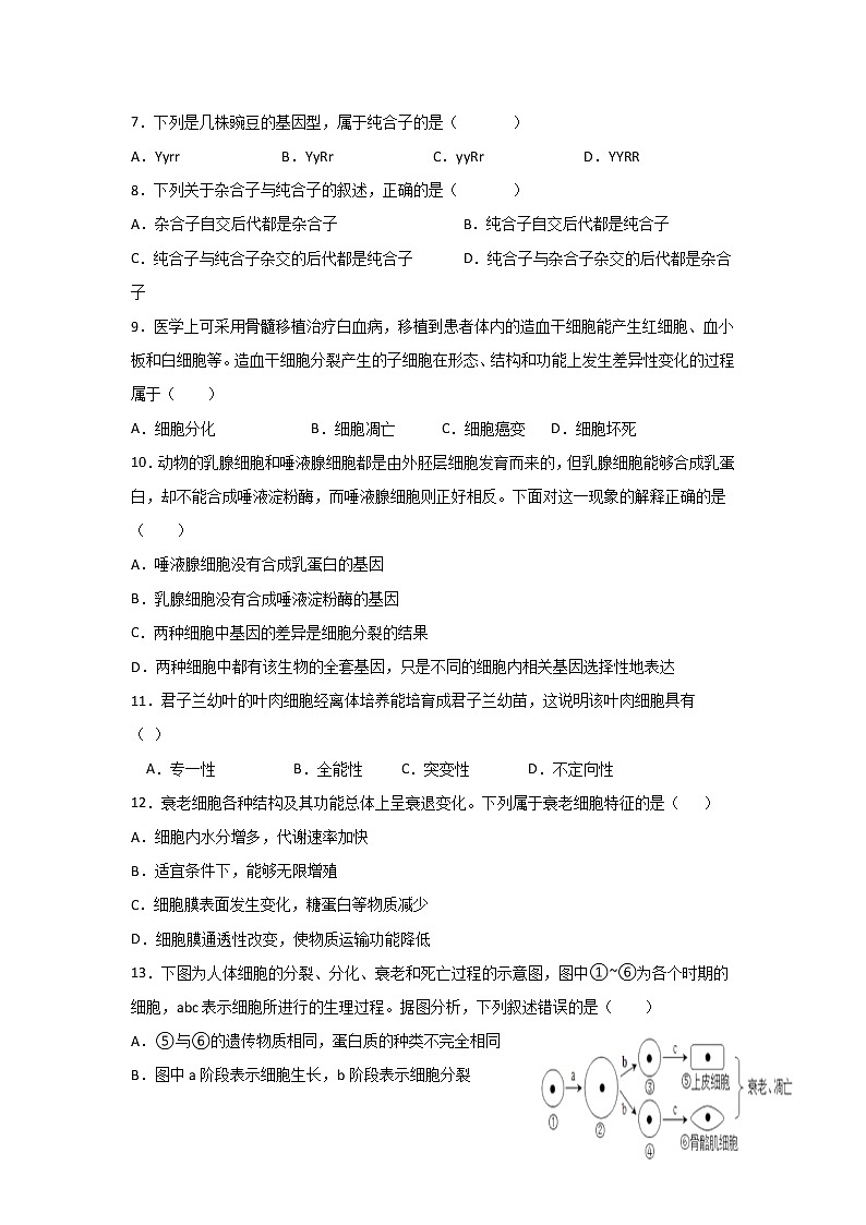 2021-2022学年广西省贺州市平桂区平桂高级中学高一下学期第一次月考生物试卷含答案第2页