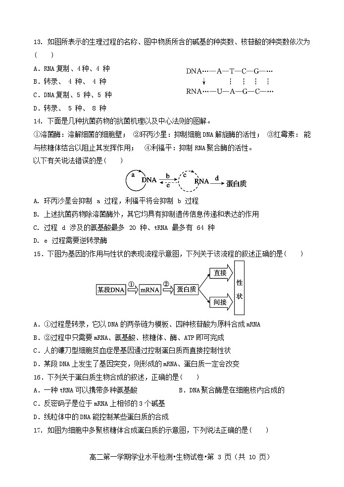 2021-2022学年甘肃省张掖市校际联考高二下学期期中考试生物试题含答案第3页
