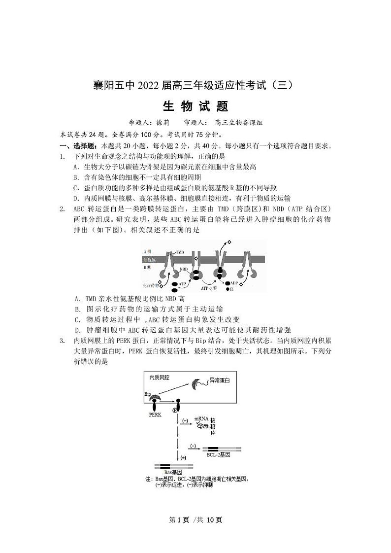 2022届湖北省襄阳市第五中学高三适应性考试（三）生物试卷试题PDF版含答案01