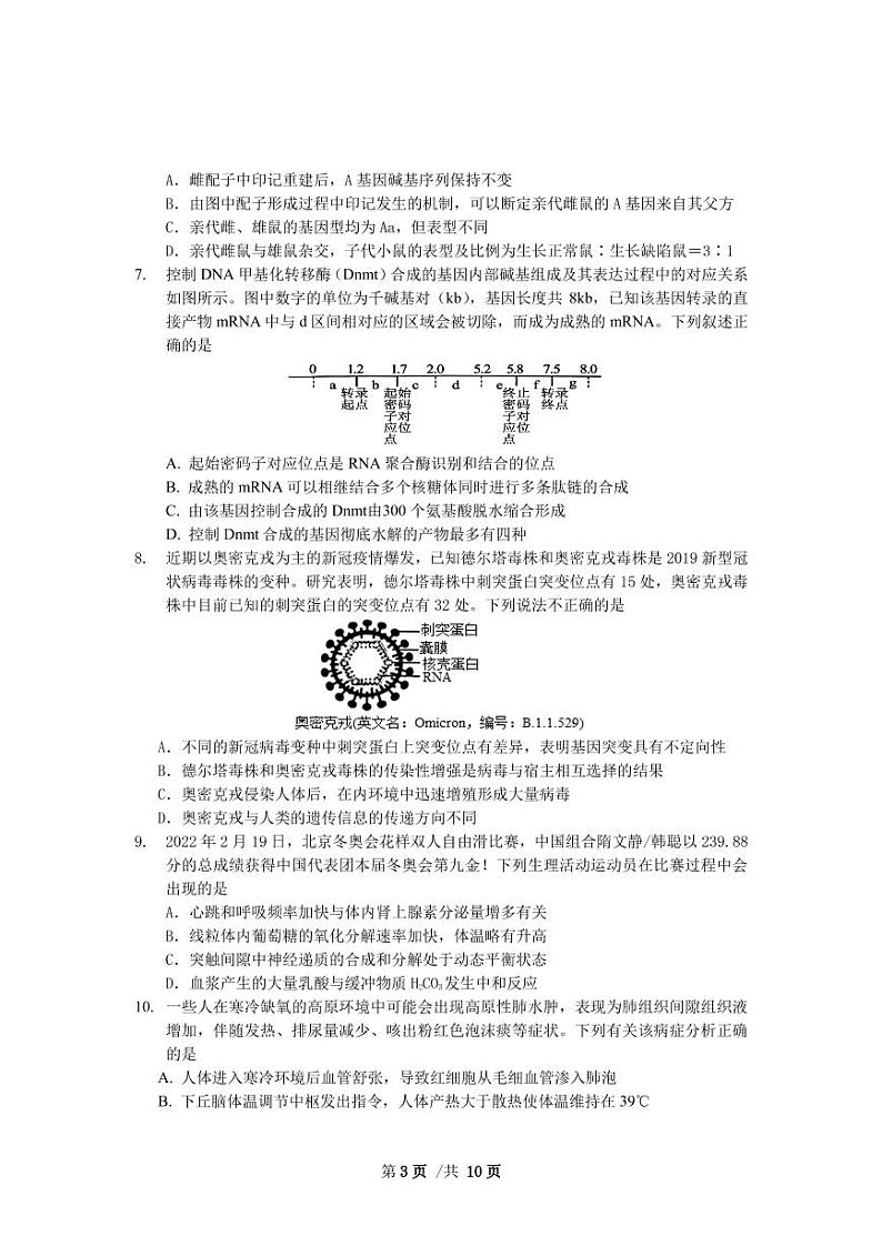 2022届湖北省襄阳市第五中学高三适应性考试（三）生物试卷试题PDF版含答案03