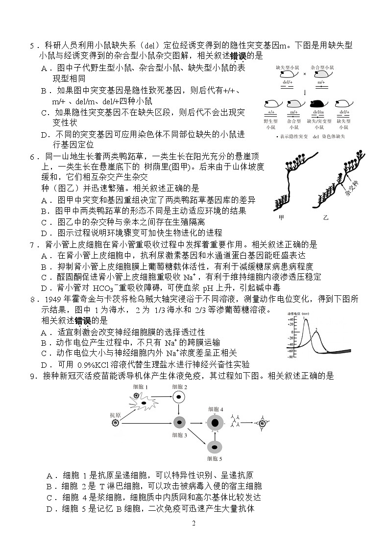 2022届江苏省南通市高三第四次模拟考试生物试题及答案02