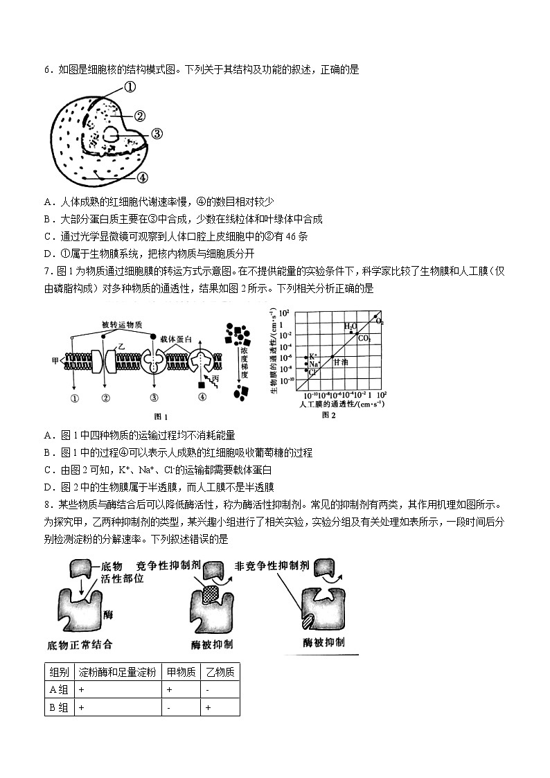 2022河南省创新发展联盟高二下学年段性检测（四）生物试题含解析第2页