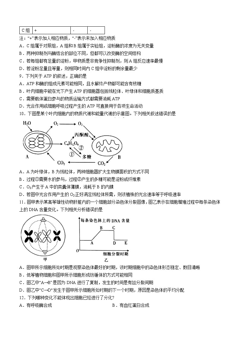 2022河南省创新发展联盟高二下学年段性检测（四）生物试题含解析第3页