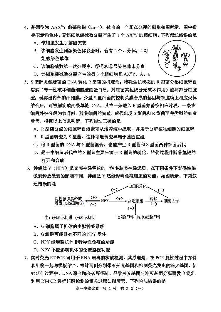 2022年天津市河西区高三三模生物试题含答案02