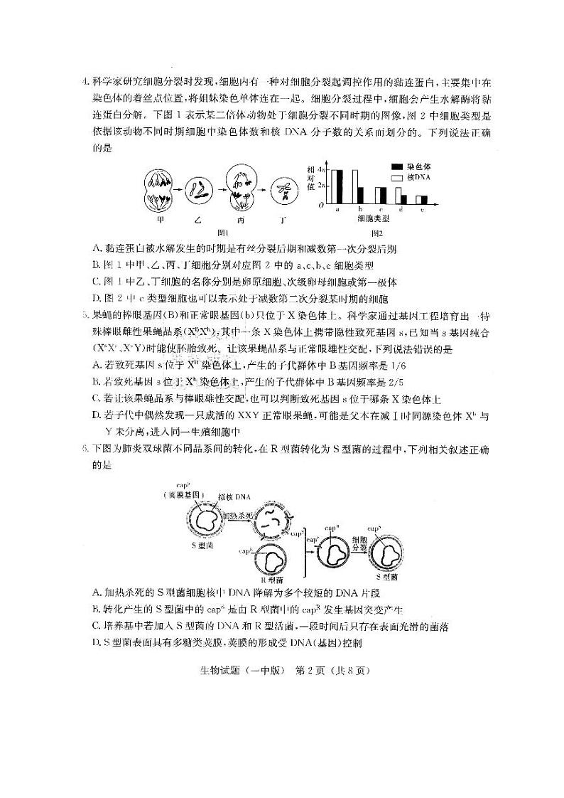 高三生物试题第2页