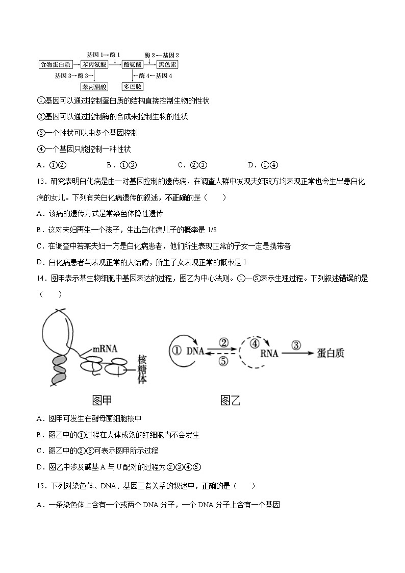 2021-2022学年甘肃省武威市凉州区高二下学期期中生物试题含答案第3页