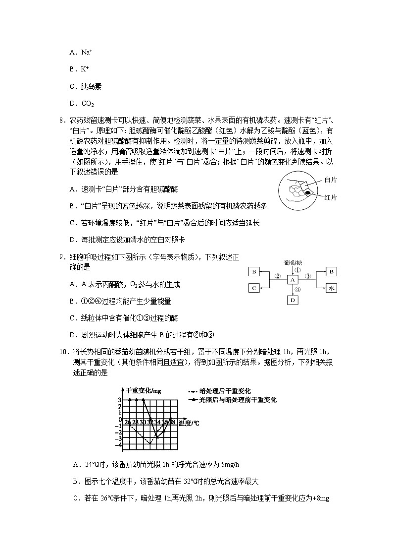 2021-2022学年山西省长治市第二中学校高二下学期第一次月考生物试卷含答案第3页