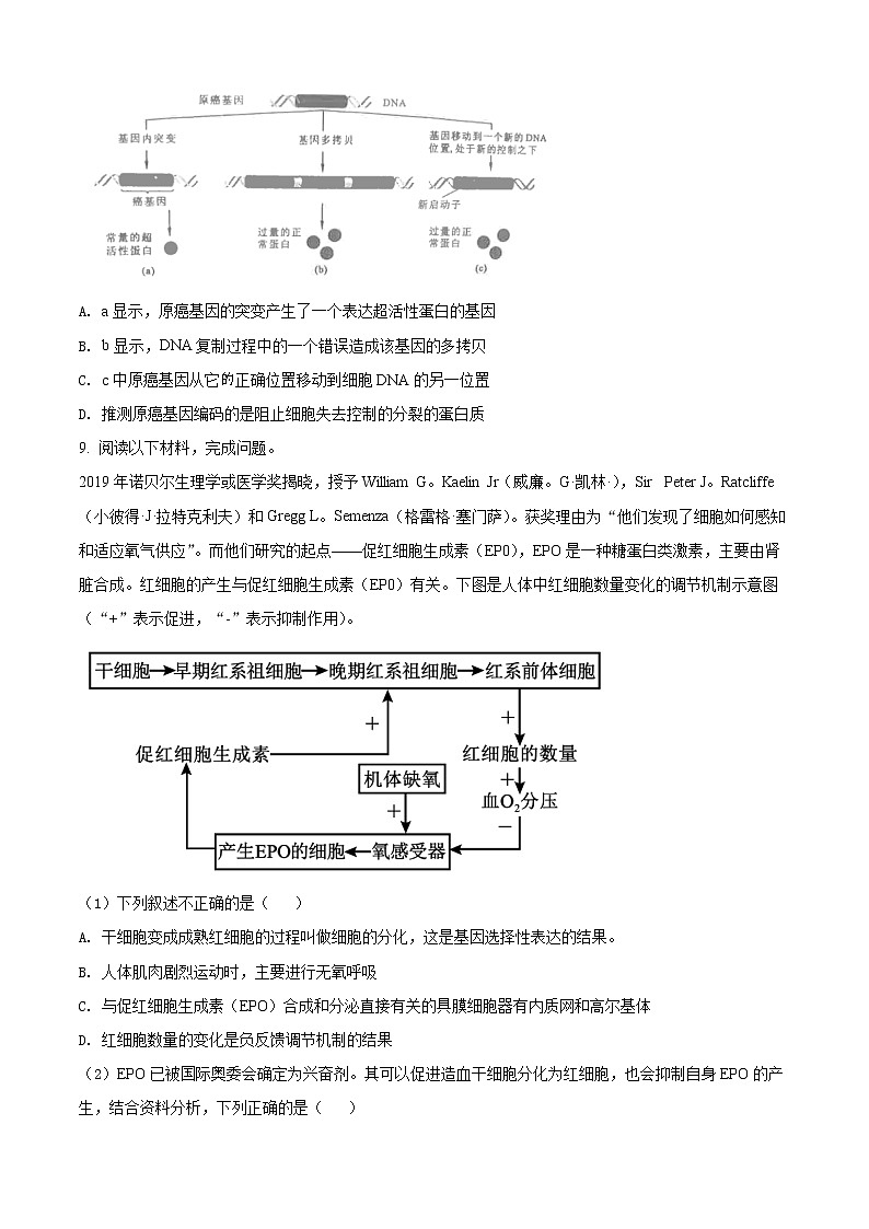 2022天津河东区高三下学期二模试卷生物试题03