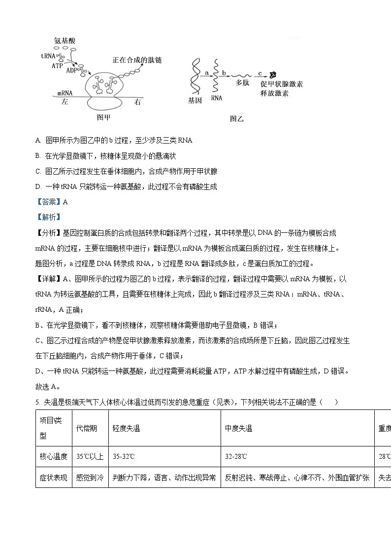 2022天津河东区高三下学期一模试卷生物试题含解析第3页