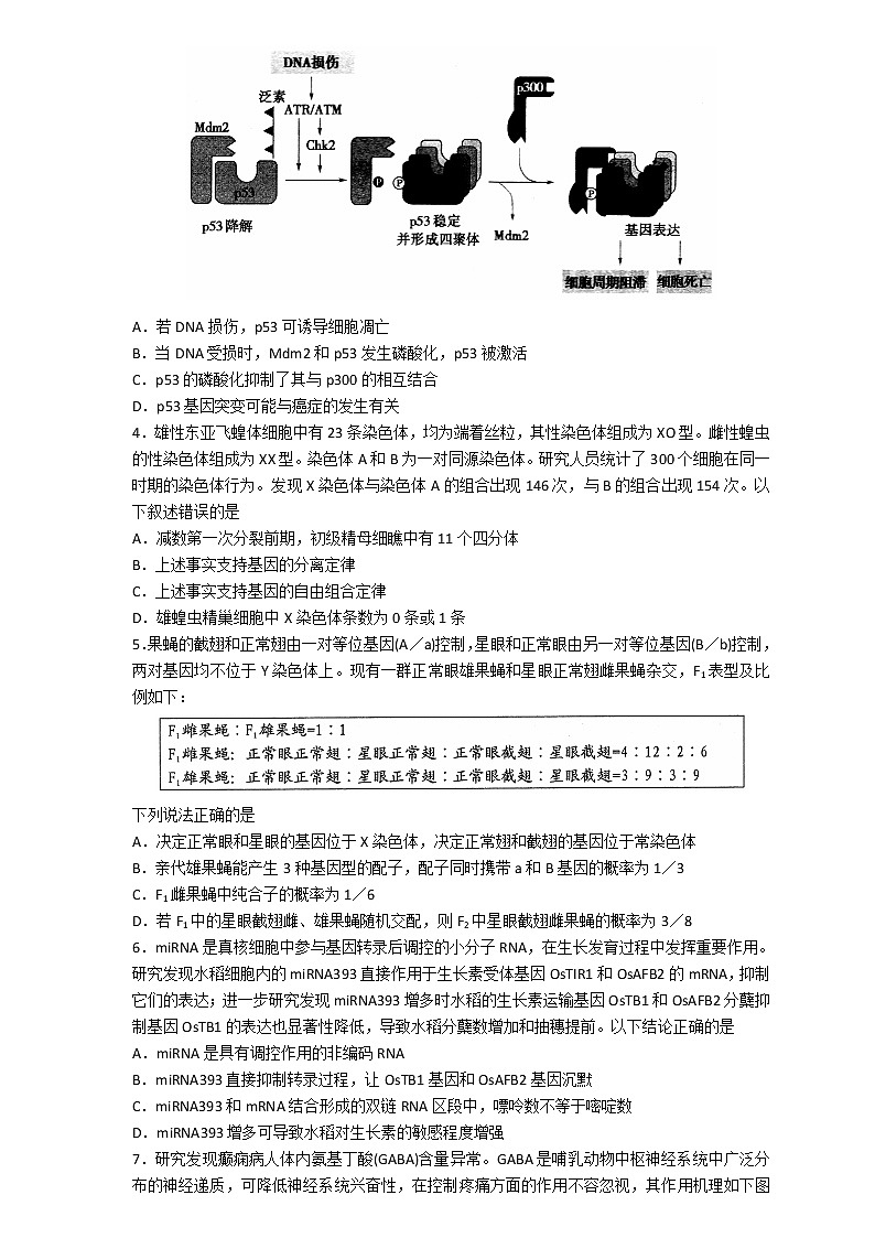 山东省实验中学2022届高三打靶生物试题第2页