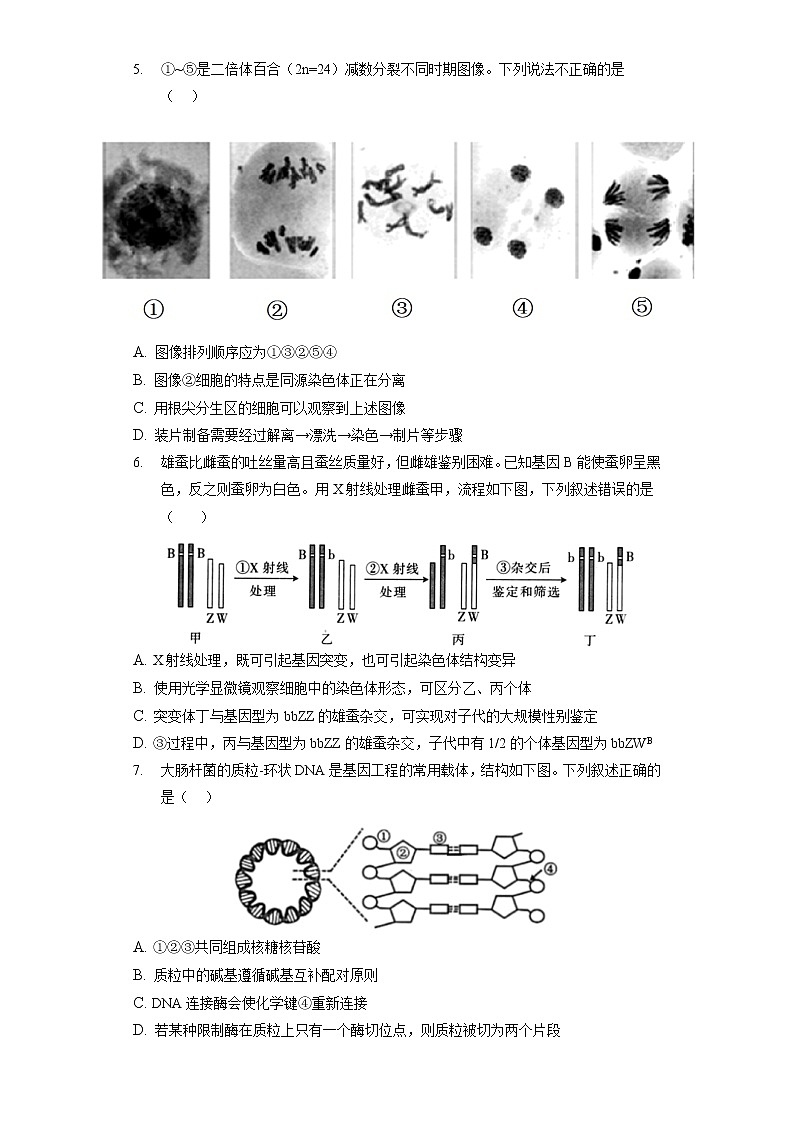 2021_2022学年北京市房山区高三（第2次）模拟考试生物试卷（含答案解析）第2页