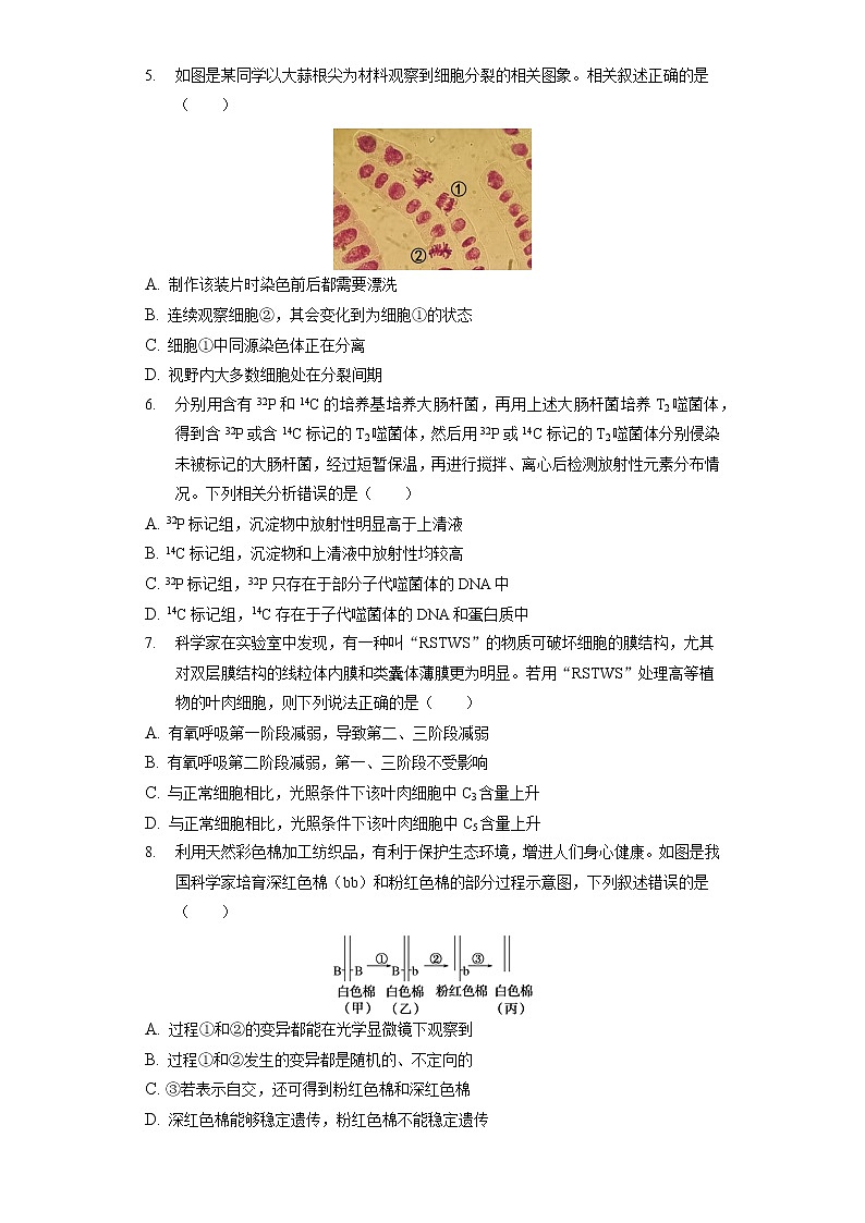 2022年广东省新高考模拟生物试卷（四）（含答案解析）第2页