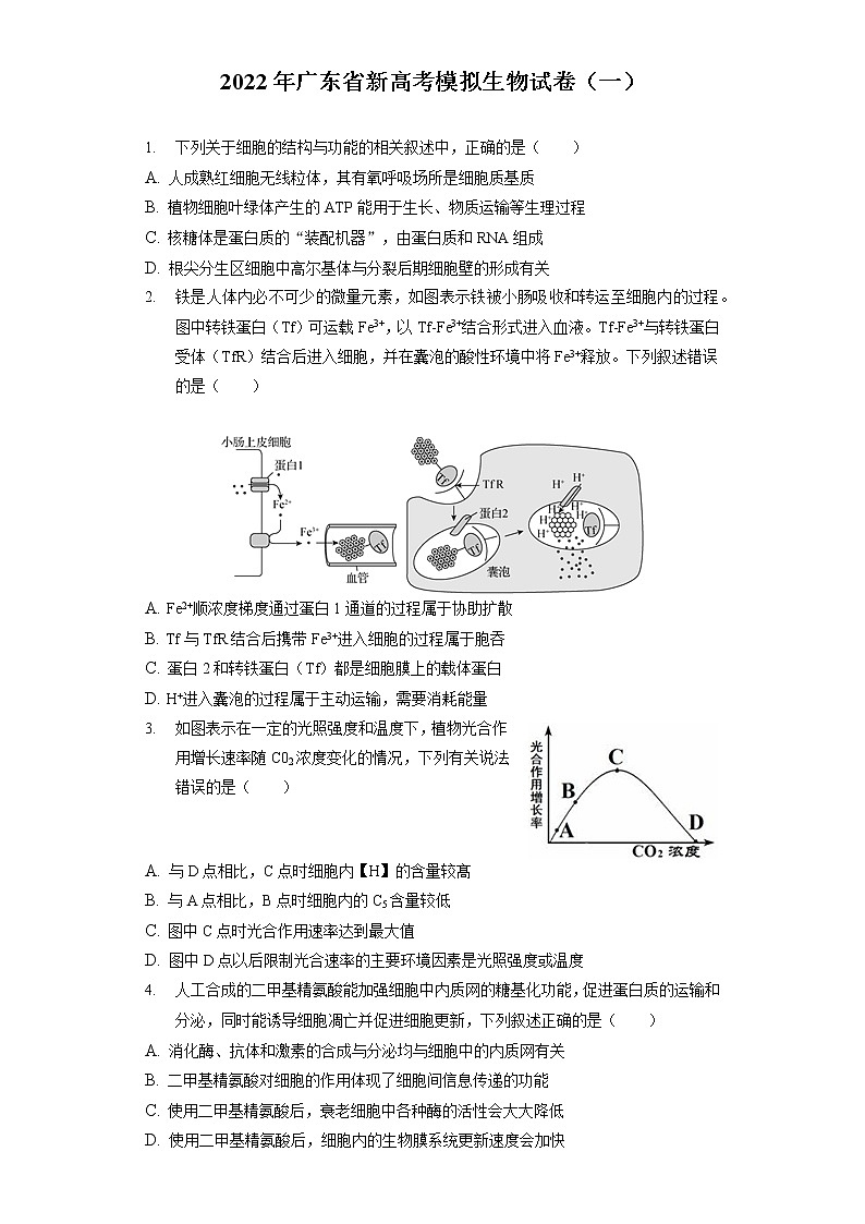 2022年广东省新高考模拟生物试卷（一）（含答案解析）01