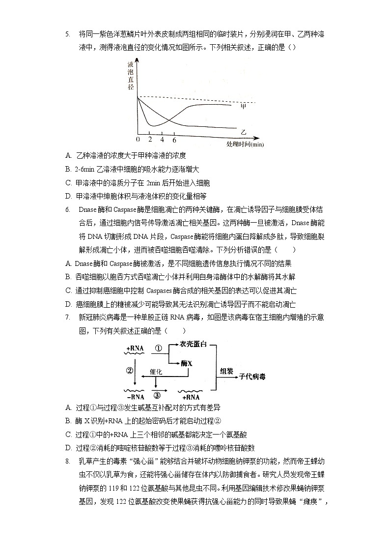 2022年广东省新高考模拟生物试卷（一）（含答案解析）02