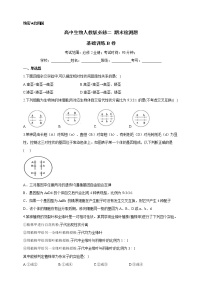 人教版高中生物必修二期末复习 基础训练B卷（含解析）