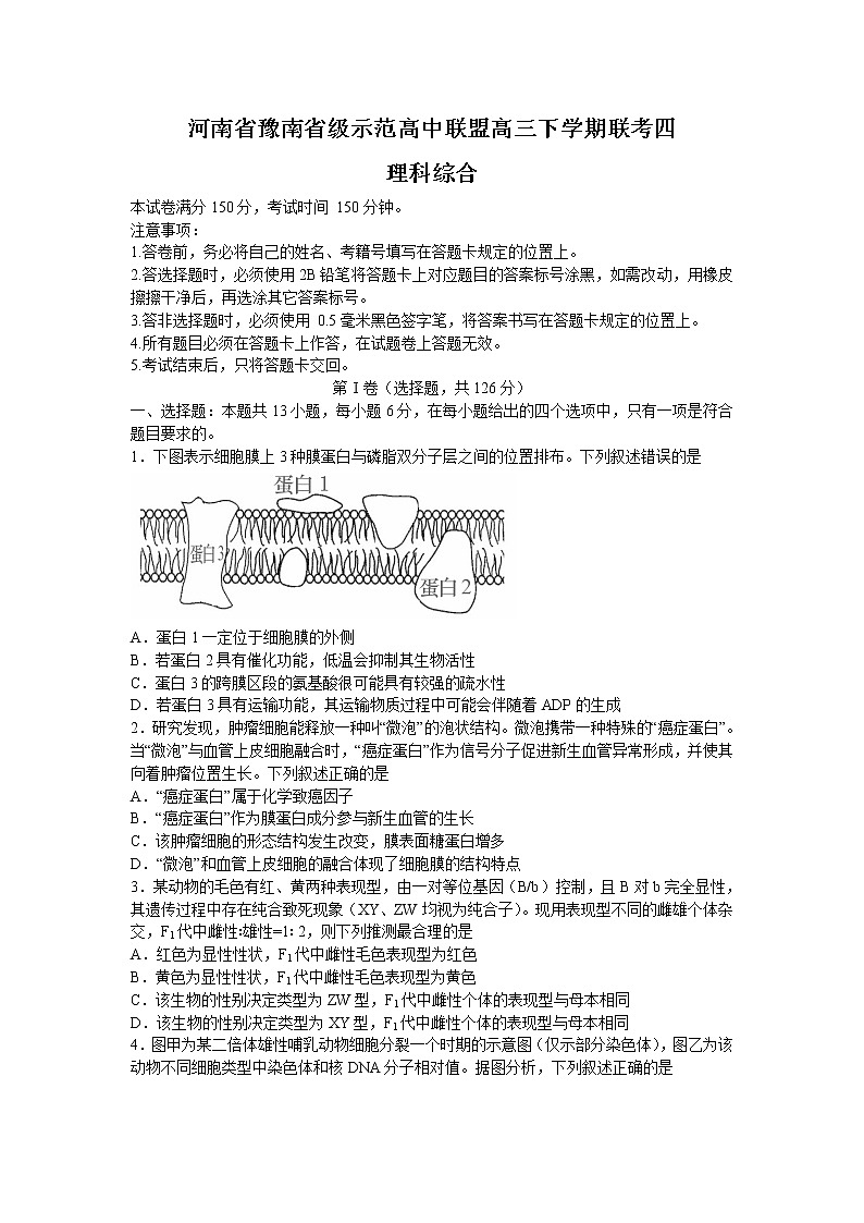 2022届河南省豫南省级示范高中联盟高三四模理综生物试题（含答案）01