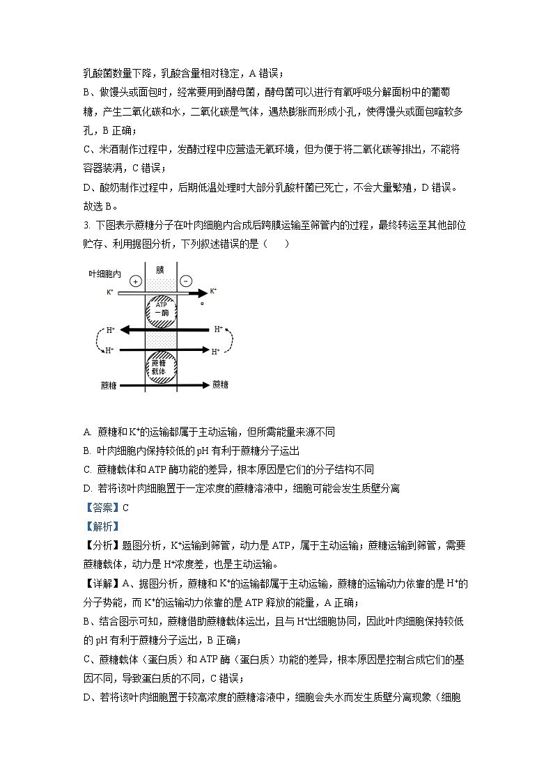 2022黄冈中学高三第四次模拟（四模）考试生物（含答案）02