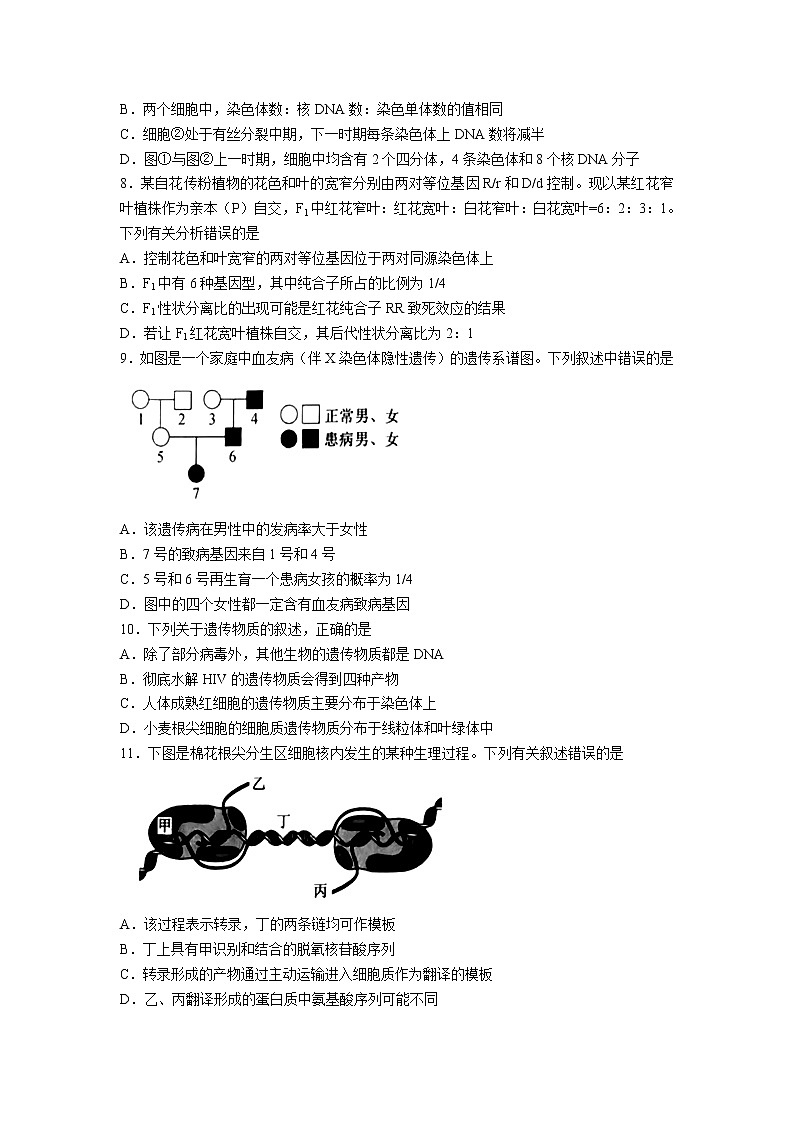 河北省衡水市深州市2021-2022学年高一下学期期末考试生物试卷第3页